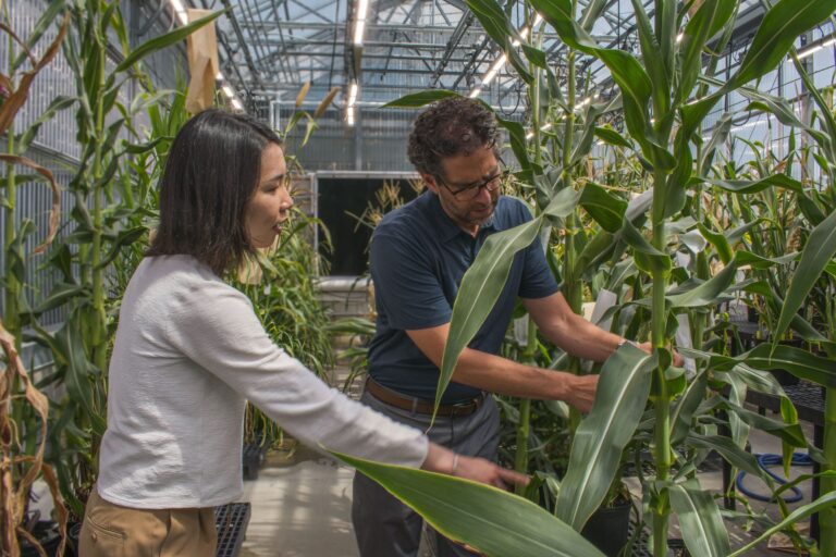 Startups to Watch 2026: St. Louis agtech startup Spearhead Bio raises $4M to speed up crop genome editing