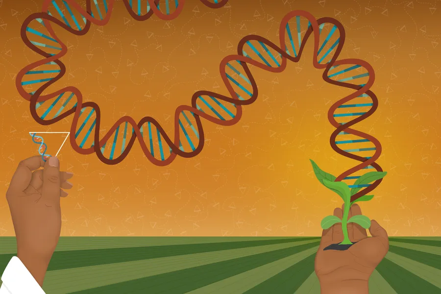 Illustration of a DNA helix being guided into a young plant